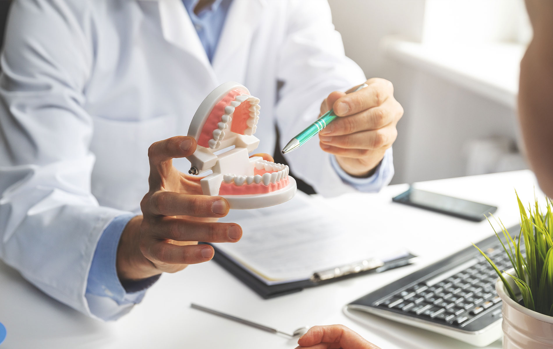 A dental professional holding a model of a human mouth, examining it with a magnifying glass, in an office setting.